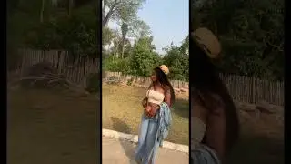 Hangouts with the funny and playful monkeys at Tafi-Atome Monkey Sanctuary, Ghana #shorts