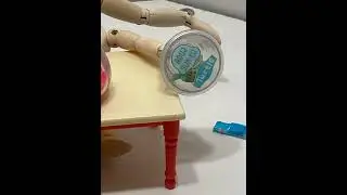 making a turtle tank w/ missy and mr block