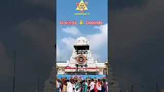 #vaaku #swamy #tirumala #tirupati #venkateswara #bhakti #song #shortvideo #shortsfeed #love #youtube