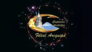 ROMANZA - La fiesta ya empezo | Caporales CENTRALISTAS Filial Arequipa