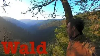 Biwak im Wald I Feuer I Rehkeule I Naturshelter I Kaffee I Atmosphäre am Morgen I Natur
