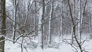 Okolice Zalewu Ruda