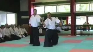Seminar 2012 in Lamoura ( Jura ) with Michel Erb Sensei