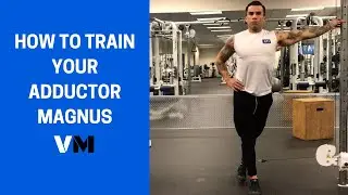 HOW TO TRAIN YOUR ADDUCTOR MAGNUS - VIGOR METHOD