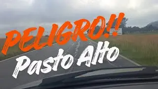 PELIGRO RUTA 226 PASTOS DE 1.5 METROS NO SE VE NADA!!