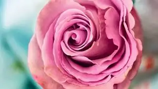 Cancer Spring Relationship 2018