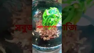14 জুন, 2024