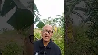 Vicarius filii dei or vicar of Christ. EXPLAINED.