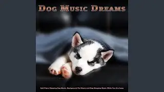Dog Sleep Music