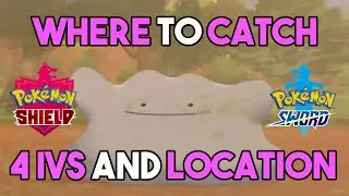 WHERE TO CATCH DITTO! in Pokemon Sword and Shield - 4 IVs and Location