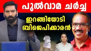 പൊരിഞ്ഞ തല്ല്  | പുൽവാമ ചർച്ചക്കെടുക്കാതെ ഹാഷ്മി : ചർച്ച ചെയ്യിപ്പിച്ച് അബിൻ| Sunitha Devadas