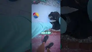 Чуть не получил бесплатный чехол для часов!!