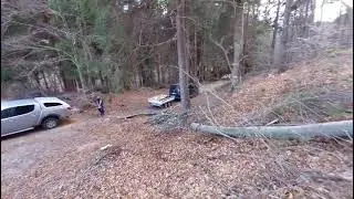 Verricello VA 1530 GFX ......faggio