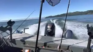 My New 2021 Yamaha 150 SHO VMAX 4-Stroke
