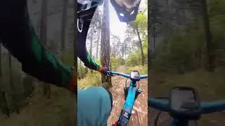 Brigante Trail #mtb #mtblife #mountainbike #downhill #endurotrails #freeride #firenze