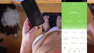 RENPHO ES-CS20M Bluetooth App K&ouml;rperfettwaage 13 WICHTIGE K&Ouml;RPERDATEN