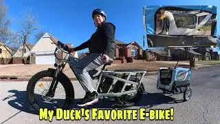 The Yoto Lion Cargo Electric Bike Is Perfect For Pets (And People)!