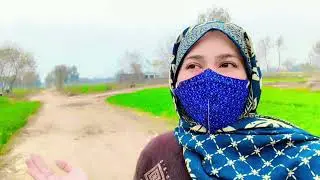 Early Morning Family Village Life | Travel Vlog