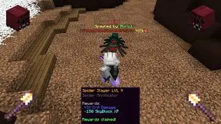I maxed the most useless slayer so you don't have to (Hypixel Skyblock)