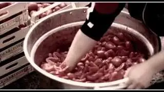 Zitral - nie gseh drvor