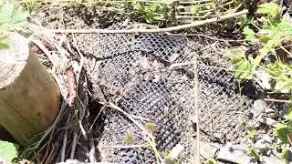 Ground Stabilisation Mesh - Stream
