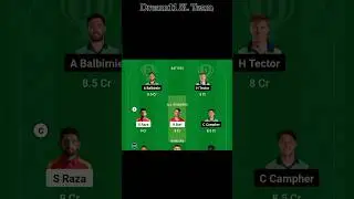 ZIM vs IRE dream11 small league winning team