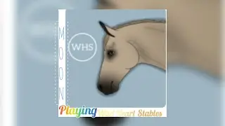 🌘|Playing WHS|🌒 ○|Voiced|○