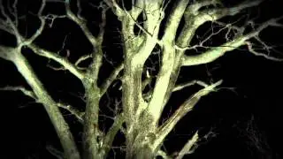 SANSO-XTRO 
