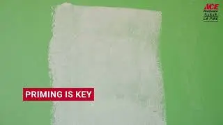 Pro Tips for DIY Paint Jobs