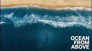85 MIN of Ocean Waves & Aerial Coastline | Deep Relaxation, Calm Mind