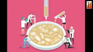 Targeting bacterial 'decision making' could help outsmart antibiotic resistance
