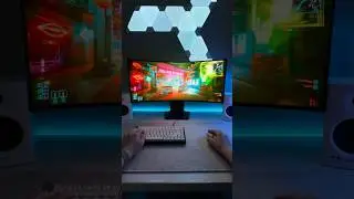 The Perfect OLED Ultrawide?!
