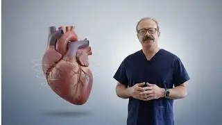 Can Exercise Reverse Heart Aging? What Science Now Shows