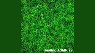 Healing ASMR 29 - Wind Sound for Relaxation, Sleep, Mental and Physical Stability 1 Hour