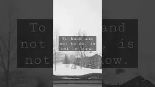 Daily Grind  #greatadvice #motivation #motivationalquotes