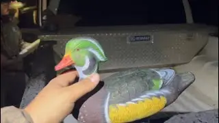 Balling on a budget duck hunting vlog! (What decoy did he make?)