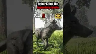 Arthur Coyote Hunt Best Ever in RDR2 Reveals Top Tricks #gaming #gameplay #rdr2