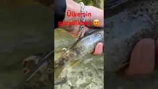 Renkli Alabalıklar😍🇹🇷 #browntrout
