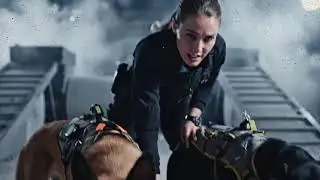 The Trust Barrier Drill  Maverick & Blaze Elite K9 Training Montage | K9 Alpha Dynamics US
