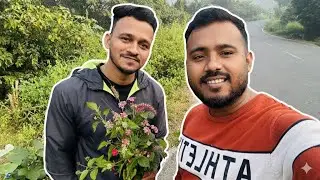 The Wild Bouquet😍I Created On The Roadside 🫣| VLOG🔥