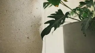 EN CONCRETO - A short film about handcrafted concrete design