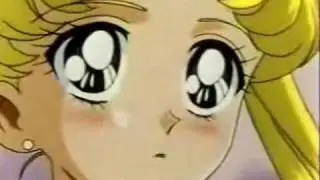 Usagi & Seiya - Biały miś