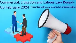 Commercial, Litigation and Labour Law Round-Up February 2024