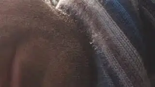 Live Improvvisata e Risposta Ai Commenti