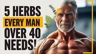 5 Must-Have Herbs for Men Over 40 (Boost Vitality & Health!)