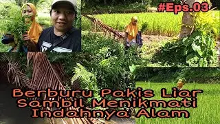 Hidup di hutan, berburu Pakis/paku liar, sambil Menikmati indahnya Alam | Hidup di Hutan Episode #03