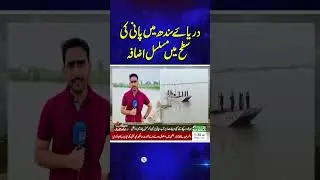Continuous rise in the water level of River Indus | SAMAA TV