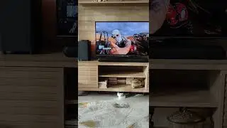 TCL S643W Soundbar Sound Test #shorts