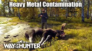 Way Of The Hunter - Heavy Metal Contamination