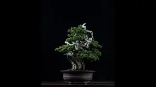 The Peace of Turquoise - Early Turquoise Video #11 -  Spiral Dynamics/Integral